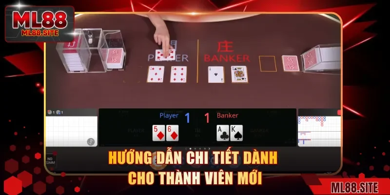 Hướng dẫn chi tiết dành cho thành viên mới