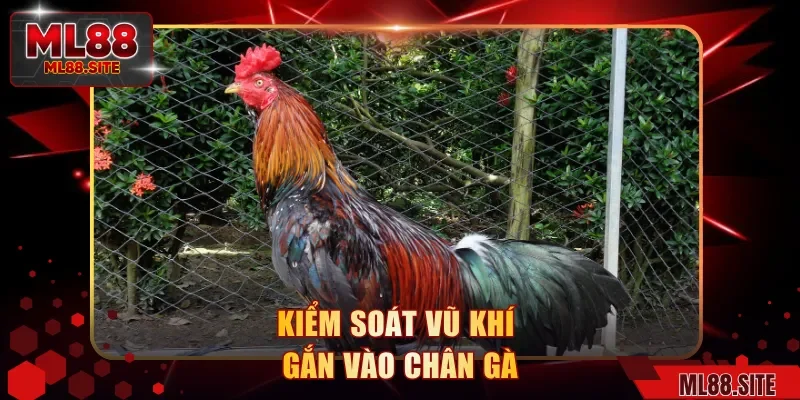 Kiểm soát vũ khí gắn vào chân gà